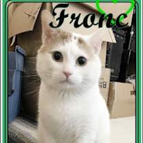 Thumbnail photo of FRONC (CP) #2