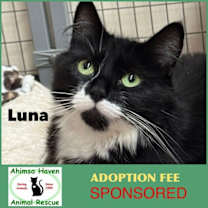 Thumbnail photo of Luna #1