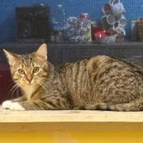 Thumbnail photo of Ghost #1