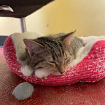 Thumbnail photo of Ghost #2