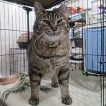 Thumbnail photo of Dudly #3