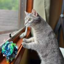 Thumbnail photo of Lululemon #2