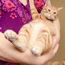 Thumbnail photo of Parker #2