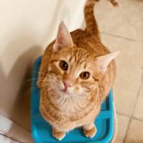 Thumbnail photo of Parker #1