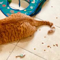 Thumbnail photo of Parker #3