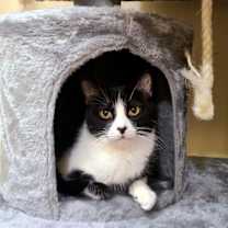 Thumbnail photo of Angela #4