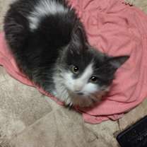 Thumbnail photo of Marilyn #4