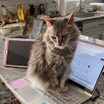 Thumbnail photo of Guinevere #4