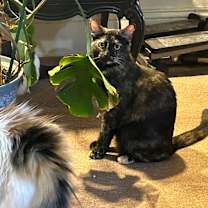 Thumbnail photo of Louise #2