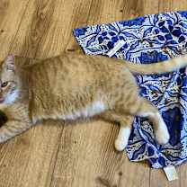 Thumbnail photo of White Feet #1