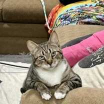 Thumbnail photo of Nutmeg #2