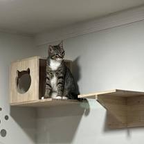 Thumbnail photo of Nutmeg #3