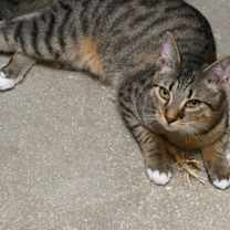 Thumbnail photo of Harold #2