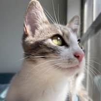 Thumbnail photo of Sylvie #2