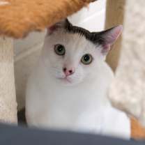 Thumbnail photo of Reggie #2