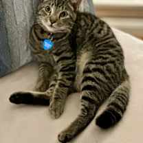 Thumbnail photo of Mighty Magnificent Milo #1