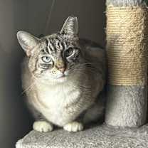 Thumbnail photo of Jules #1