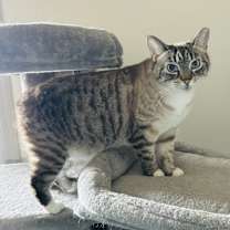 Thumbnail photo of Jules #2