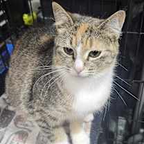 Thumbnail photo of Sally #3