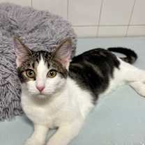 Thumbnail photo of Fred #4