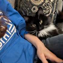 Thumbnail photo of Zing #3