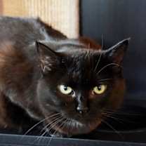 Thumbnail photo of Taylor #2