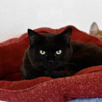 Thumbnail photo of Taylor #3