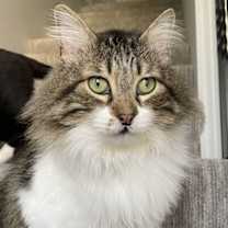Thumbnail photo of Taz #1