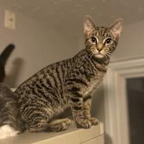 Thumbnail photo of Colin & Glenn #2