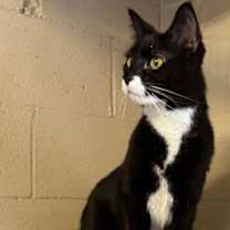 Thumbnail photo of Kayla #3