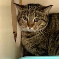 Thumbnail photo of Sam #2