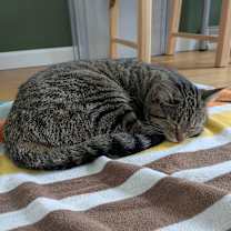 Thumbnail photo of Sam #3