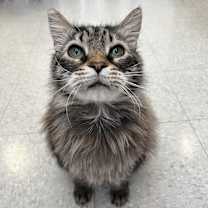 Thumbnail photo of ZEDD #2