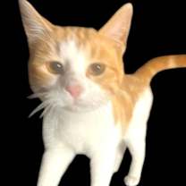 Thumbnail photo of Flopsy #2