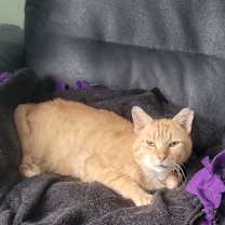 Thumbnail photo of Casper #4