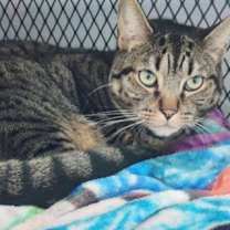 Thumbnail photo of Phil #1