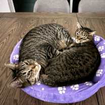 Thumbnail photo of Phil #3