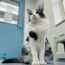 Thumbnail photo of Xander #2