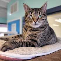 Thumbnail photo of Rain #1