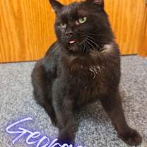Thumbnail photo of George #1