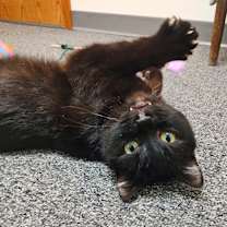 Thumbnail photo of George #3