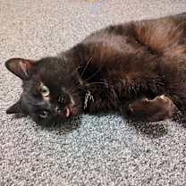 Thumbnail photo of George #4