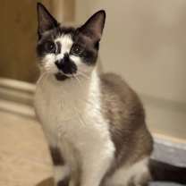 Thumbnail photo of Hillary Kitt #1