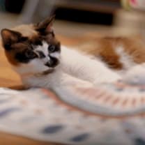 Thumbnail photo of Hillary Kitt #2