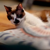 Thumbnail photo of Hillary Kitt #3