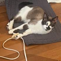 Thumbnail photo of Hillary Kitt #4
