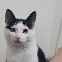 Thumbnail photo of Yoosol #1