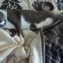 Thumbnail photo of Bubba #1