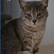 Thumbnail photo of Maggie #2