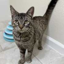 Thumbnail photo of Spice #3